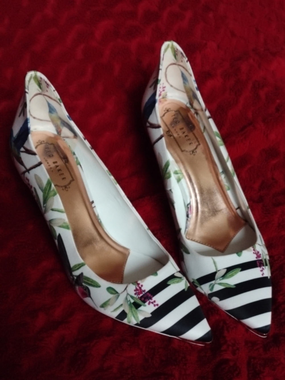 Ted Baker Humming Bird Floral & Black Stripe Pointed Toe Pumps Size 40